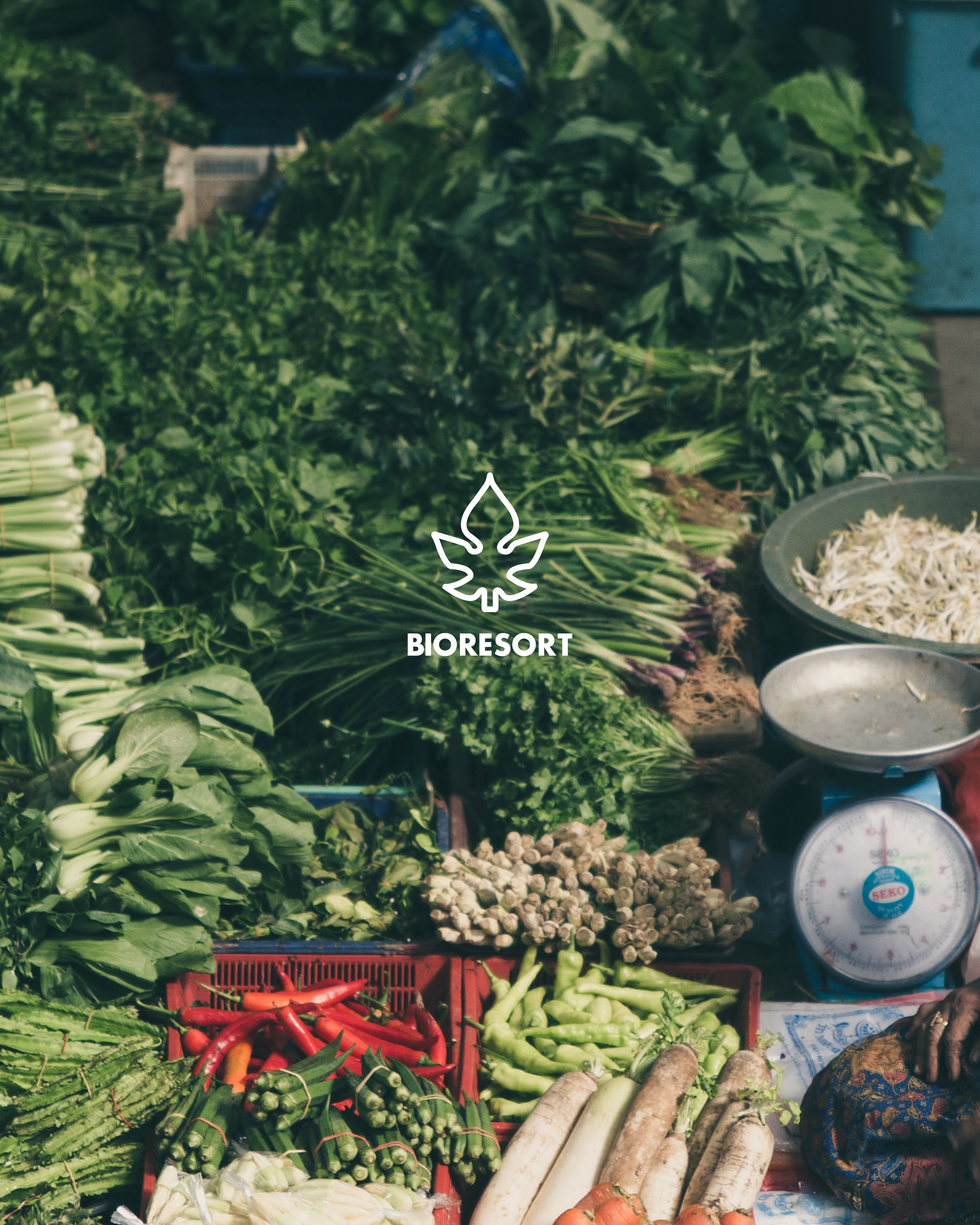 banner image Bioresort